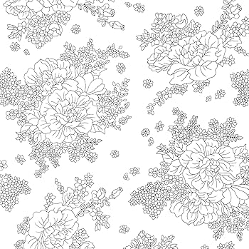 ぬり絵の手本 Amazon.co.jp: Coloring Books for Grown-Ups: Japanese Books